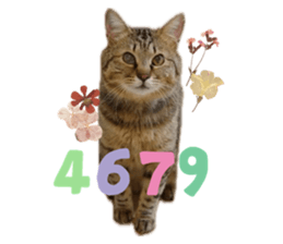 644160894
