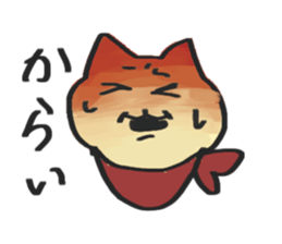 644166356