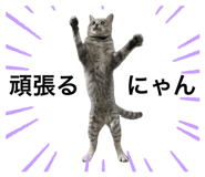 644175694