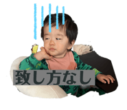 644175891