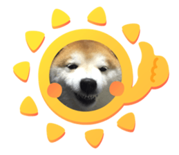 644225200