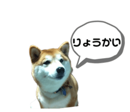 644225210
