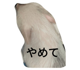 644225820