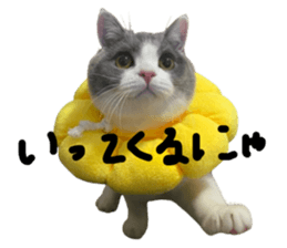 644227018