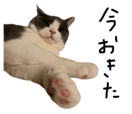 644227019