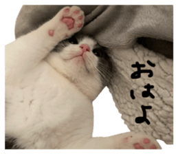 644227020