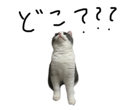 644227025