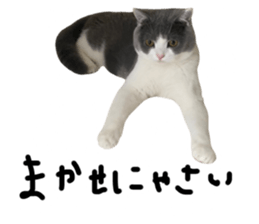 644227028