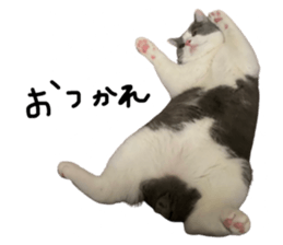 644227036