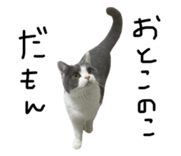 644227043