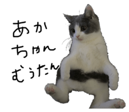 644227045