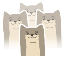 644244