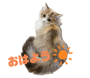 644245638