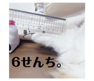 644245653