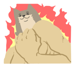 644249