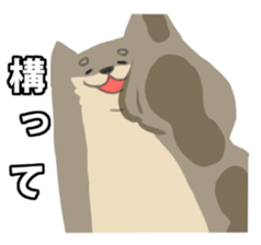 644255