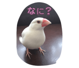 644287760