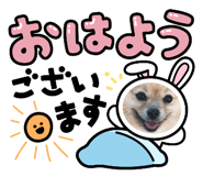 644293289
