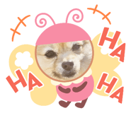 644293291