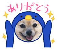 644293299