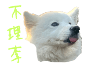 644293502