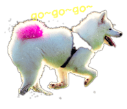 644293504
