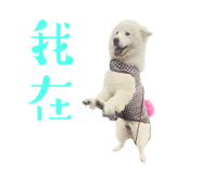 644293508