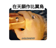 644295834