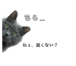 644301830