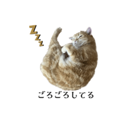 644301831