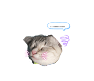 644307231