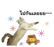 644307234