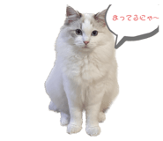 644315622