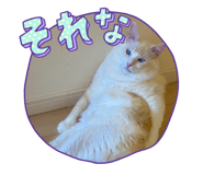 644315626