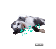 644318095