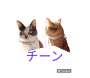 644318108