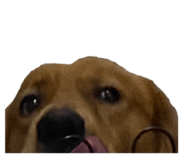 644323558