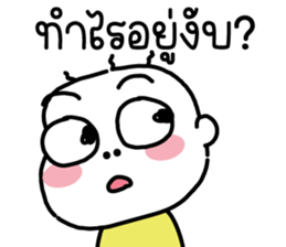644355055