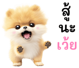 644355905