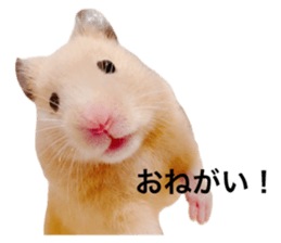 644383405