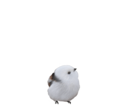 644433005