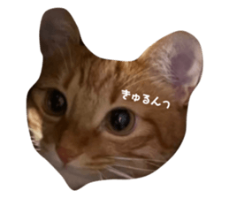 644475972