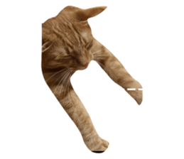 644475973