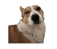 644479598