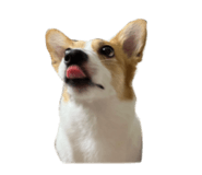 644479600