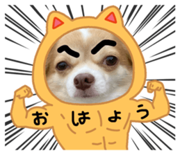 644484435