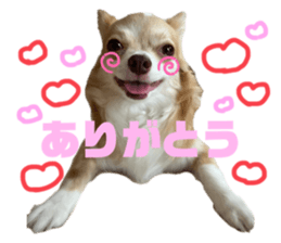 644484437