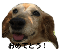 644490122