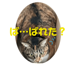 644498842
