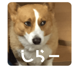 644501445